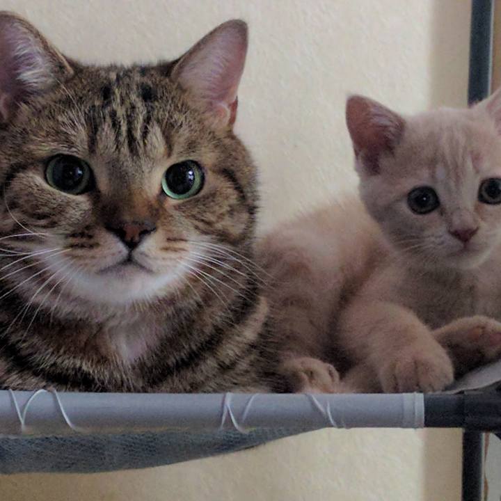 5b4410c0 f3a5 4a96 a31f 7331d735ede0