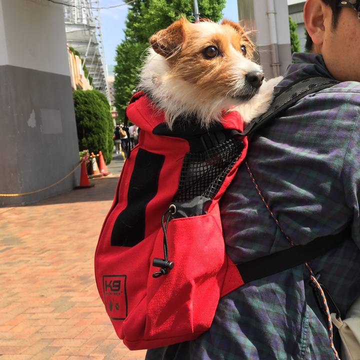 5b44d9ef f779 48bd 9dfb 9b657dc998c0