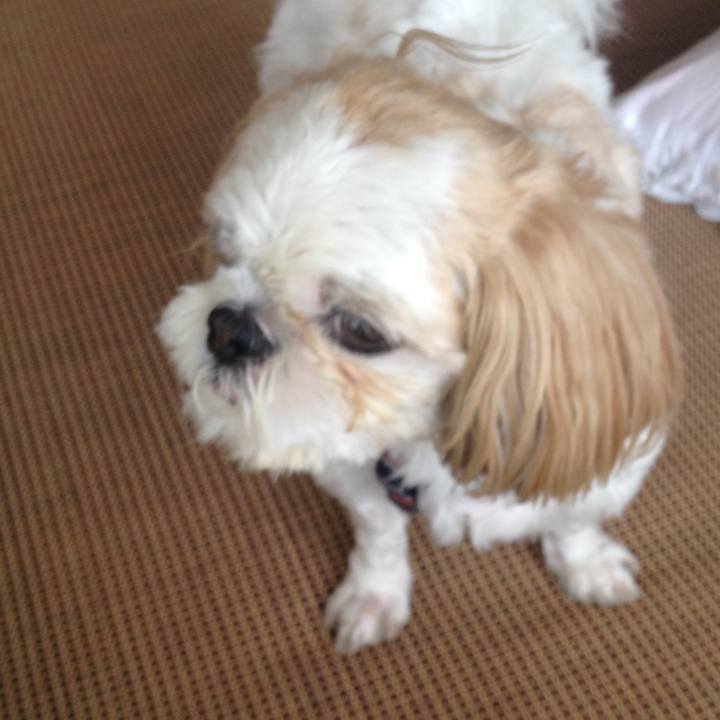 5b450616 0f28 4a46 89cb 60608d874c42