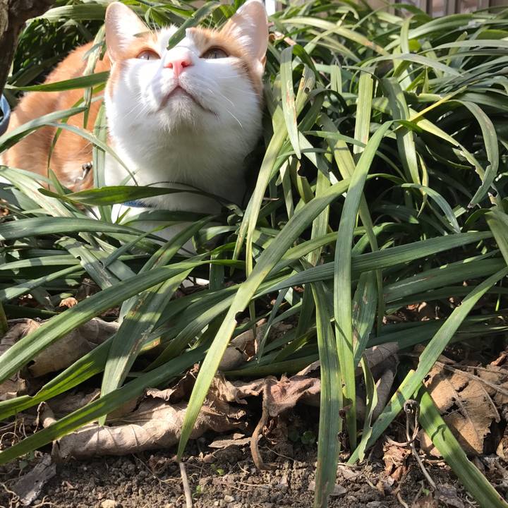 5b453de9 c89c 4e85 a5e7 4e83e1373a13