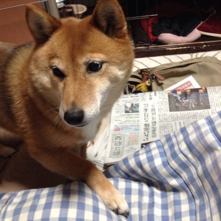 5b45607b 0909 43f3 a843 0c904133a570