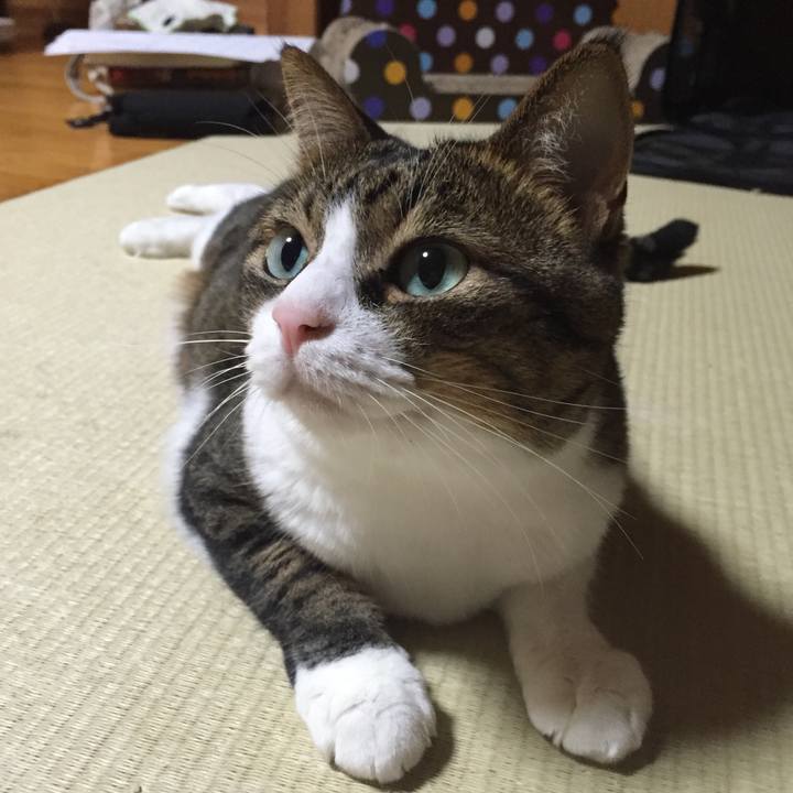 5b45c38f 74f3 4207 a47f 8703d1995231