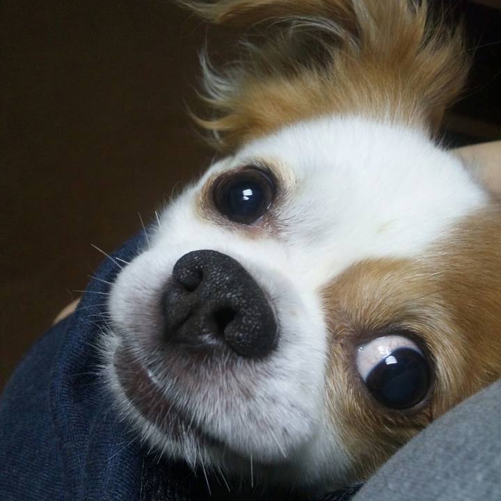 5b460b26 510e 49ad ba20 3fb2e4706f1a