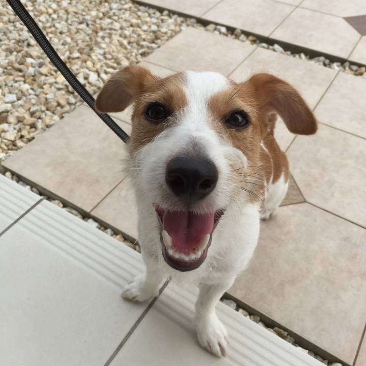 5b4625f0 62c5 40f0 95f1 fd917969385d