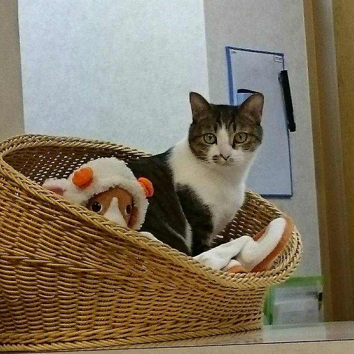 5b46310b ed9d 40ec 9a1f f64db0f8a49f