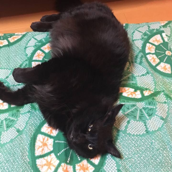 5b465d66 6c0f 4b38 8d93 cef4e14d1afa