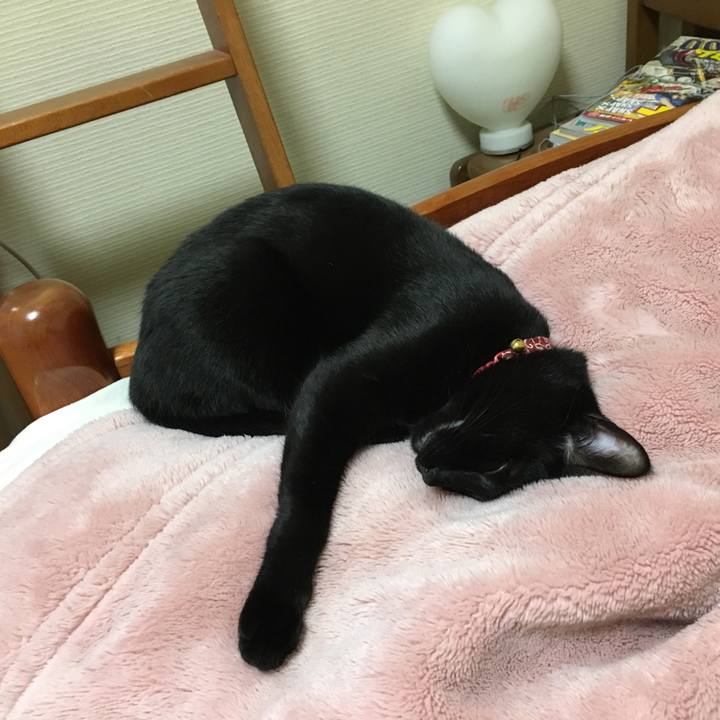 5b469a60 eac6 4561 9794 490158a1e958