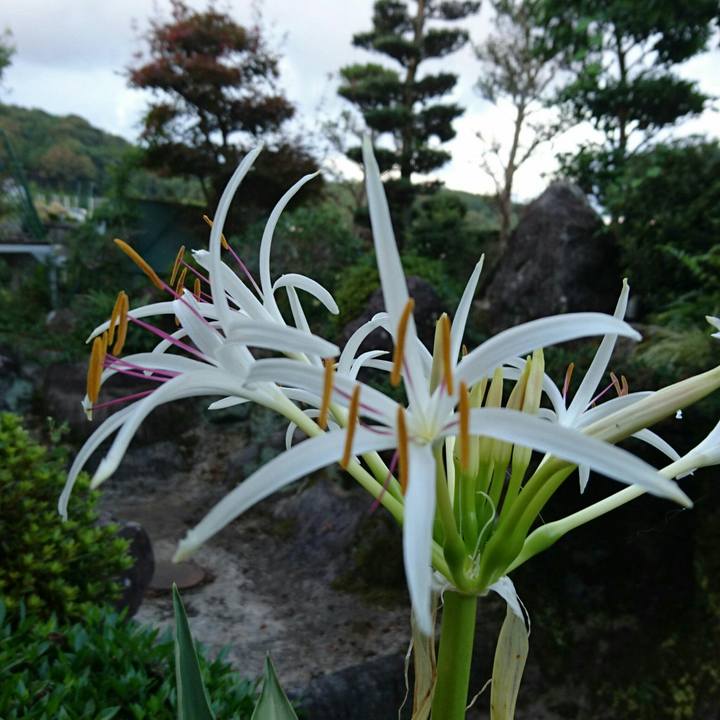 5b473d57 d3b8 4941 a85e 1a95e15a5891