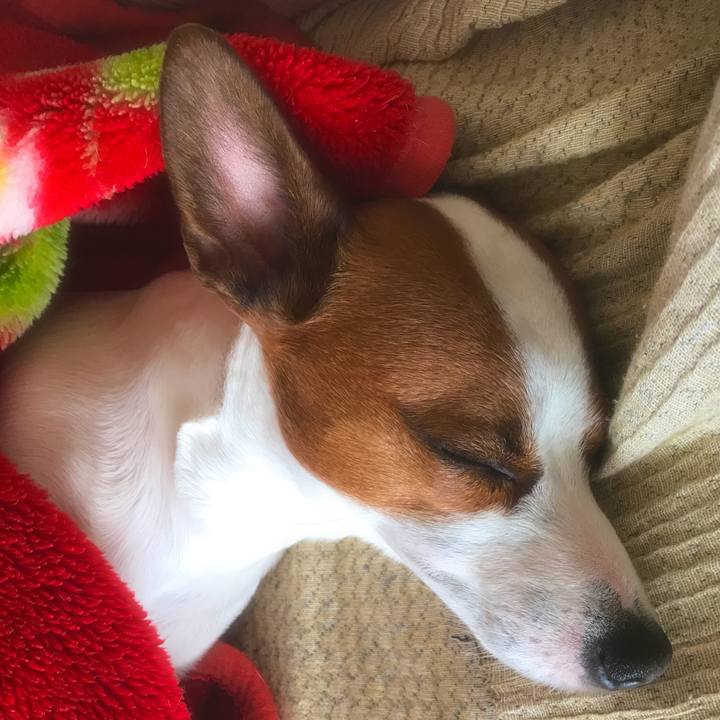 5b4814ba 7959 45a6 b6b7 a192a1cc9401