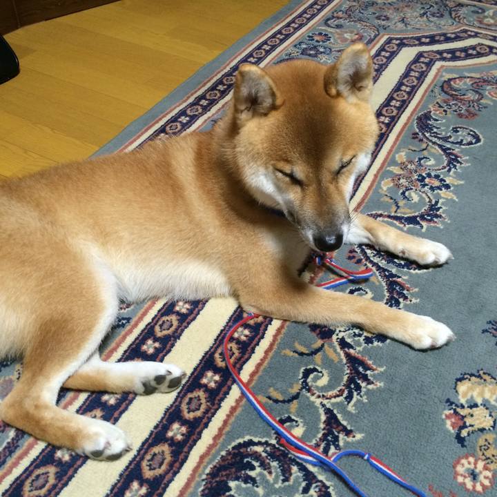 5b481a07 77b9 4d2b 9d2e 63caf2975c67