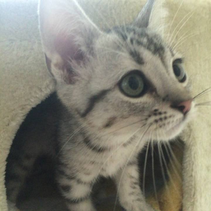 5b4826cf 0133 4c07 b8b6 d336f572084b