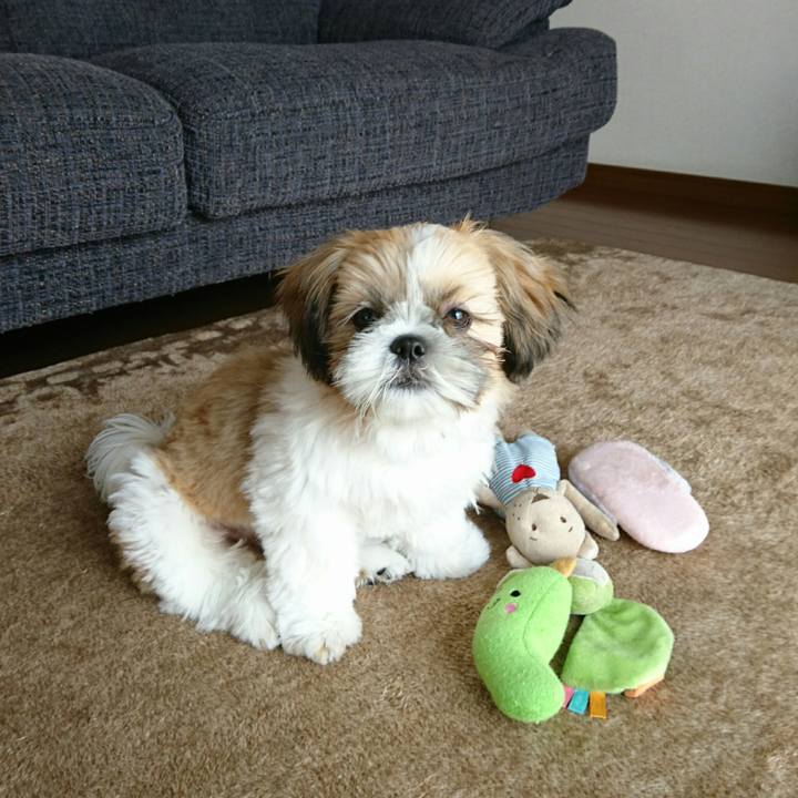 5b48cc0f 90cf 4ab1 83ba e8e227162c01