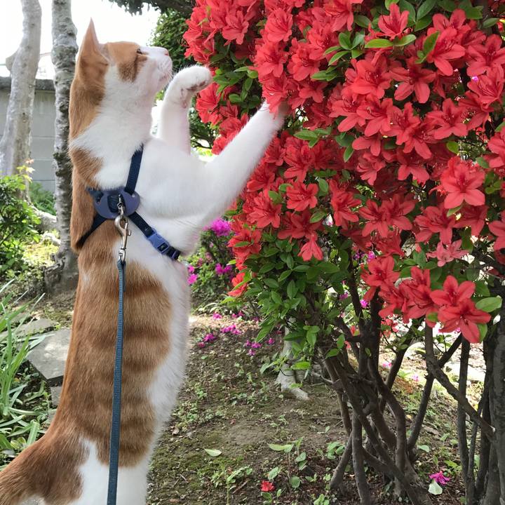 5b493eb0 e233 4ab1 ae6a 338e8b4f9855