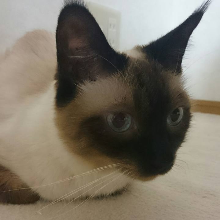 5b49bc65 ba78 4188 8da3 fb048f6152ad