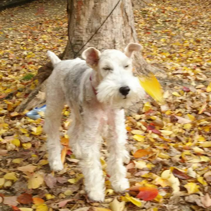 5b49c4b9 0e37 484d 9e99 1e5848b11677