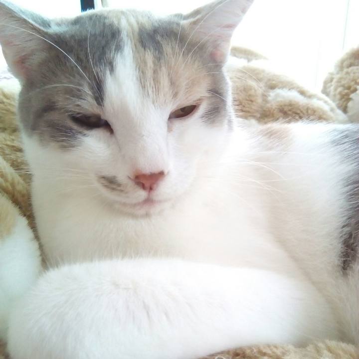 5b4aab97 af98 458a 833f 96f5d74301e6