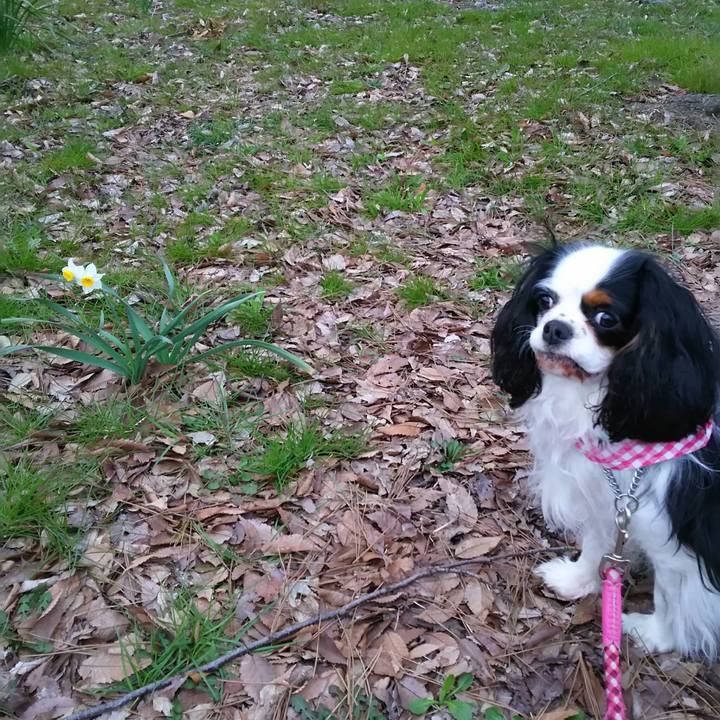 5b4b6735 5842 4d36 8a2c 3e3b28b6caaf