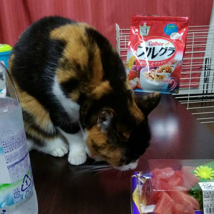 5b4b8395 b6de 432a 84a9 829f3e67e599