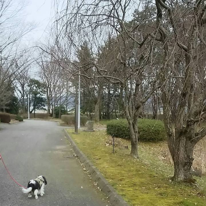 5b4c6115 7a03 45af 9508 6ecdee136fa6