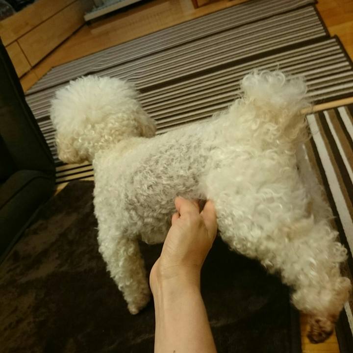 5b4dc0cb f145 4938 bf07 7f4ef34f6b99