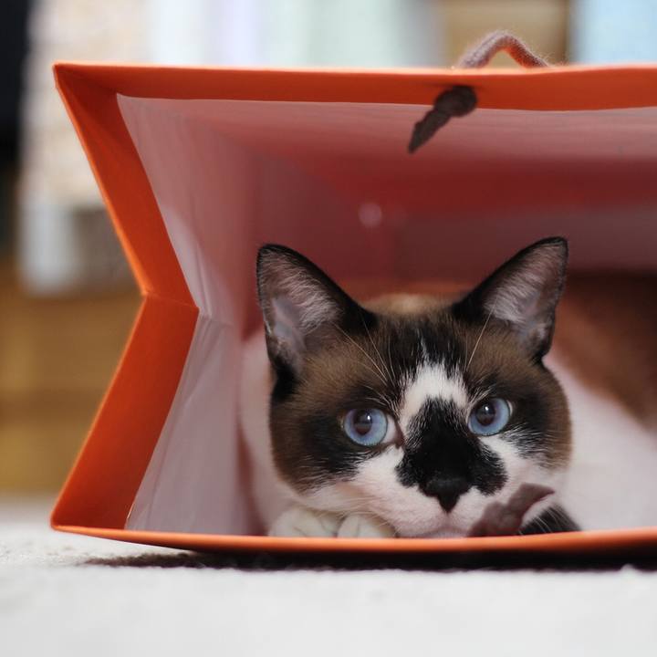 5b4dde1d 7f74 496a 8f4e 4f989ad90d34