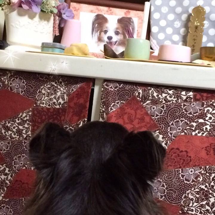 5b4e20cf 5f7b 4582 bdb4 9075029c9dfc