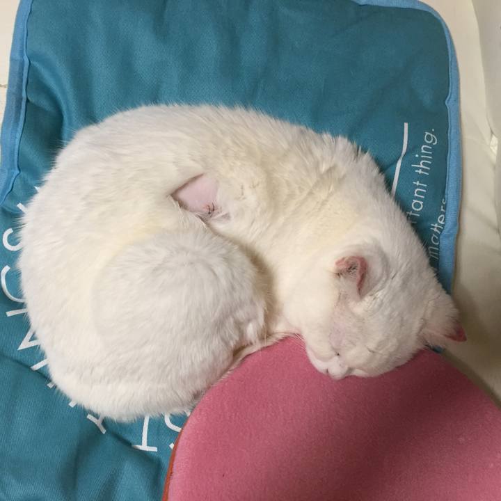 5b4e6b21 43c5 4748 92ee 4f48d029ad8c