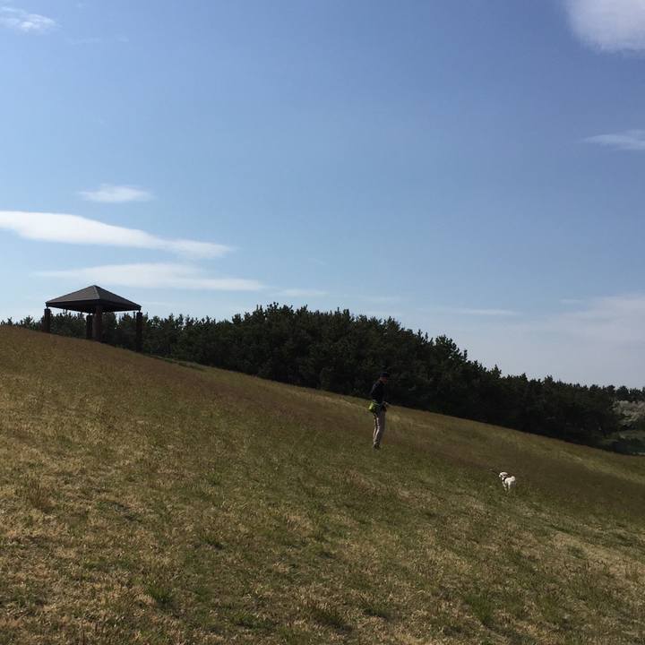 5b4fe093 a9e6 4a76 a6bc 2e3ca74ace3c