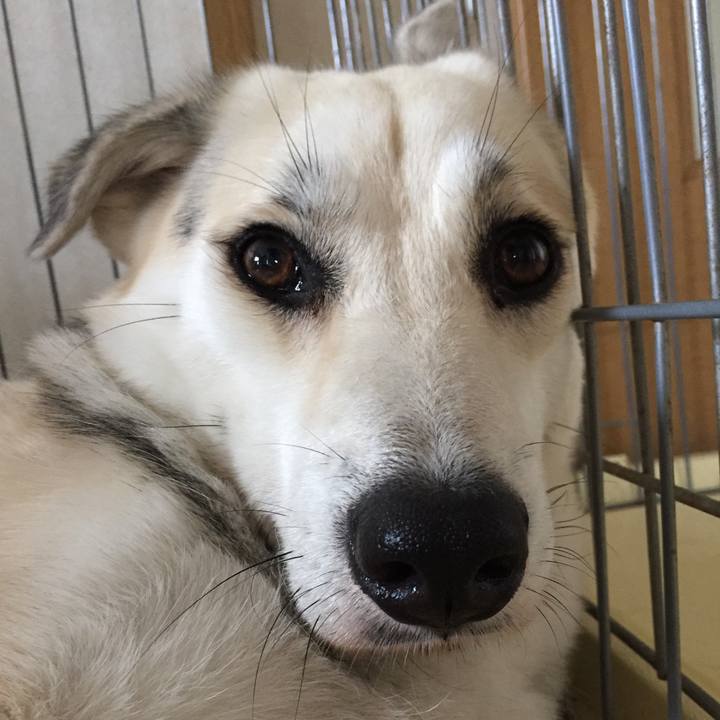 5b5081a2 10bc 4a11 9829 cb165c3f75ac