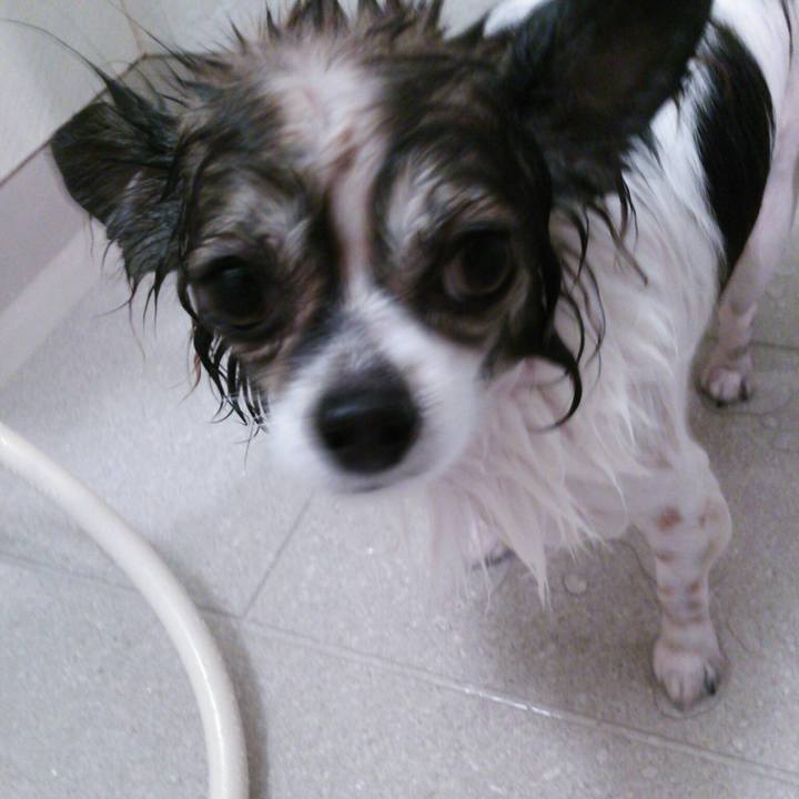 5b50a778 9b8b 4d4b 9cbf 73afcb999d7e