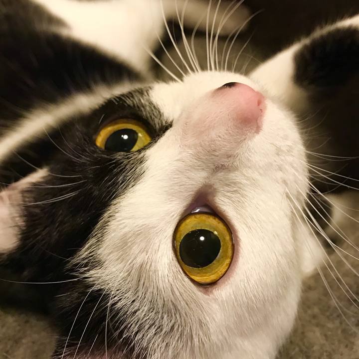 5b50e3e3 8963 4e7e a4e9 676ef3eeca39