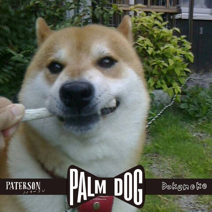 5b514f5d 1753 4911 8937 b31883599d38