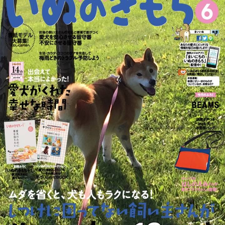 5b51f1bf 831b 4923 82c5 4b3175e73054