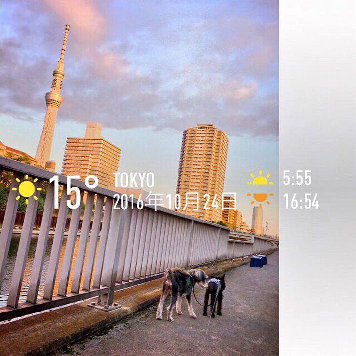 5b5200cf bd5e 466c b7d0 816482d16768