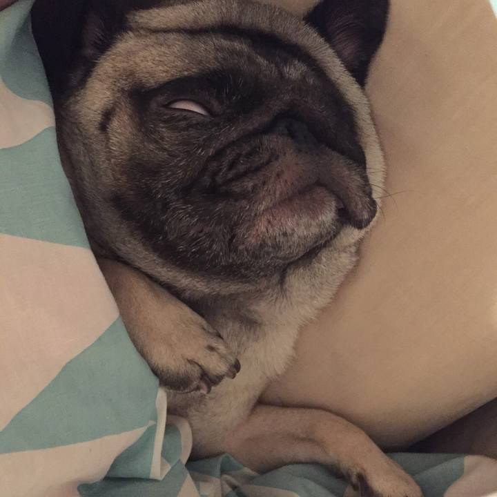 5b532eb0 c67b 4c97 b804 1ba1243cd926