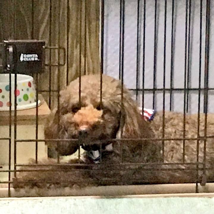 5b54b15e b3d9 4c15 9c68 bb4cc6f8400d