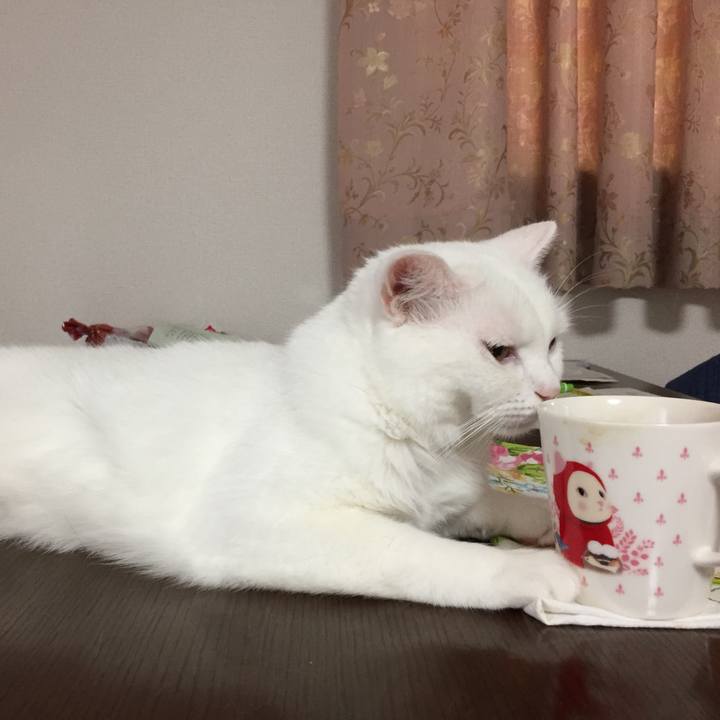 5b54cfc2 e70c 400f 8df2 b3b3c9a9b7cc