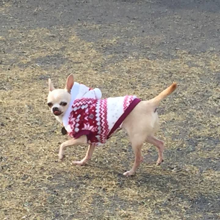 5b553665 8489 40a1 81f2 2d2e98944789