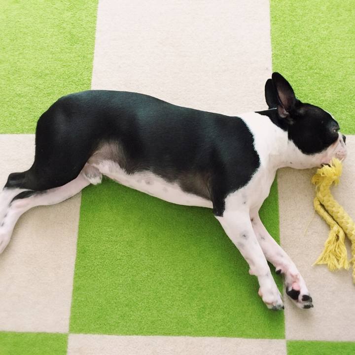 5b555970 6a35 4964 833d 1055646e3d96