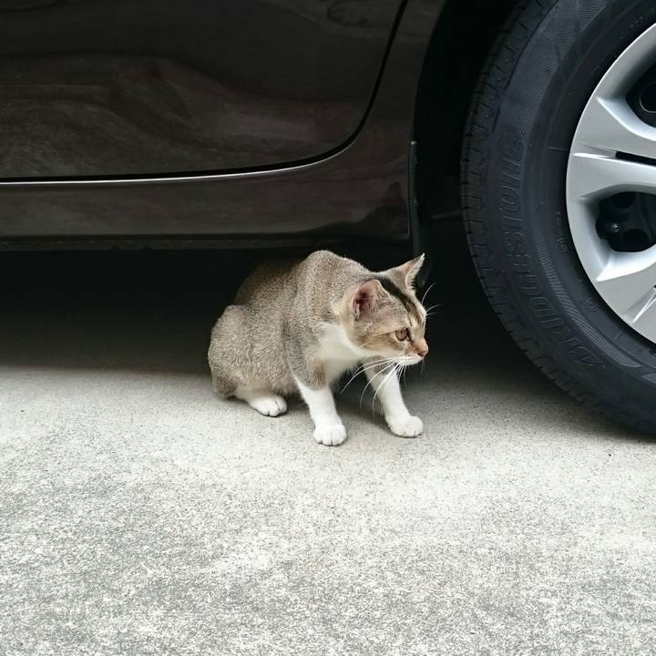 5b555e98 0b7c 49b2 8d30 bbebcc1ee5ab