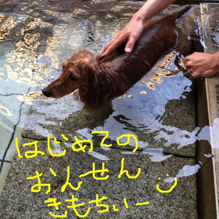 5b5563a1 7759 4f08 8a9f 059049a5d91b