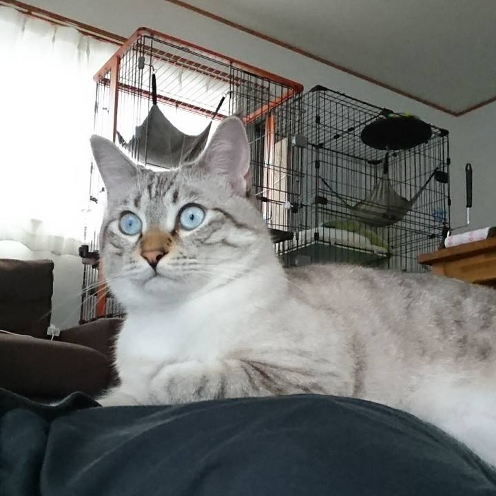 5b558a6b c3d8 4f70 974f 0de44d17d0d7