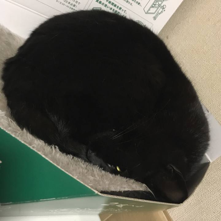 5b55c2e3 224e 4b40 9676 d6cc4451e6dc