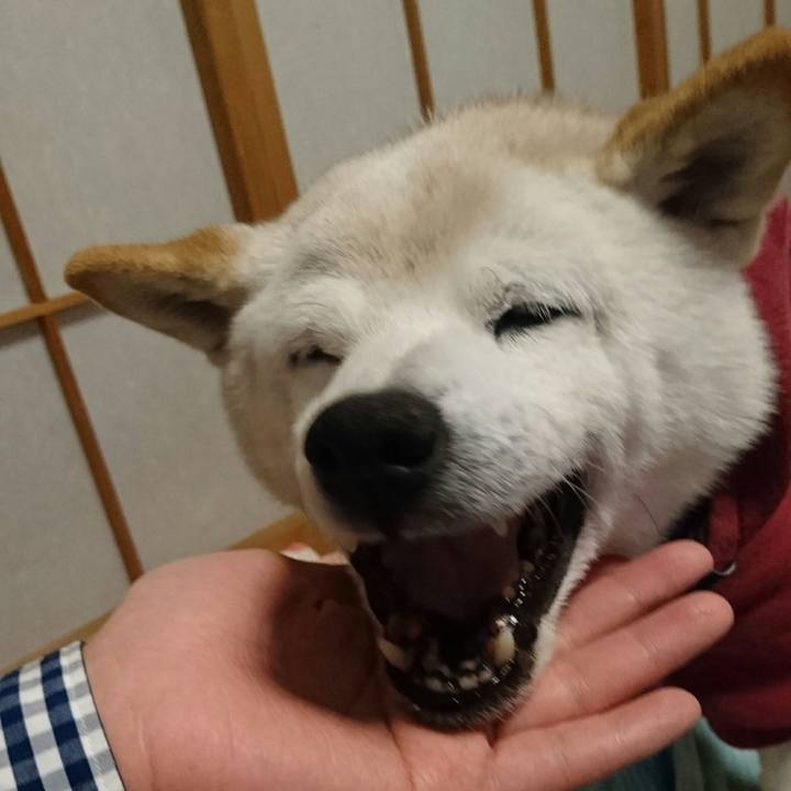 5b5625a4 ea32 478b 8469 fc9939145c73