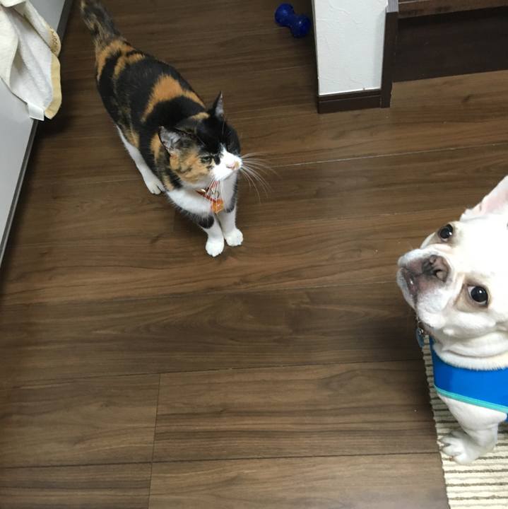 5b562b3e 3edd 41c6 87d7 2ff9ce3bbc65