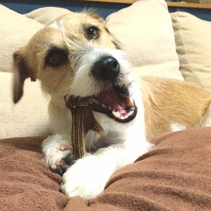 5b5774b6 2fb5 4d11 b892 8478cbb36188