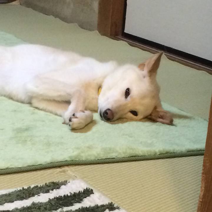 5b57cceb 1fd0 4022 83c1 bc89777b0b62