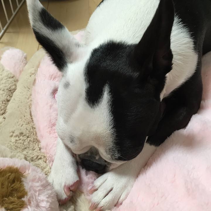 5b57e561 abfa 48bd 8909 1bfbd469bae4