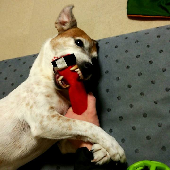 5b582df0 56ae 4ff9 b8a1 fa0835fd582d