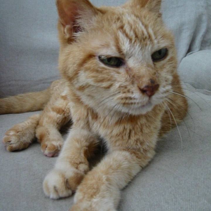 5b5839cc 2dde 42fc bd50 23030d4a7244